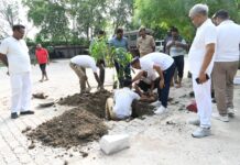 चित्रकूट पुलिस ने वृहद वृक्षारोपण अभियान चलाकर दिया पर्यावरण संरक्षण का संदेश