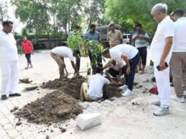 चित्रकूट पुलिस ने वृहद वृक्षारोपण अभियान चलाकर दिया पर्यावरण संरक्षण का संदेश