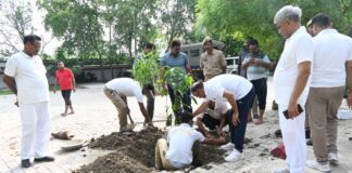 चित्रकूट पुलिस ने वृहद वृक्षारोपण अभियान चलाकर दिया पर्यावरण संरक्षण का संदेश